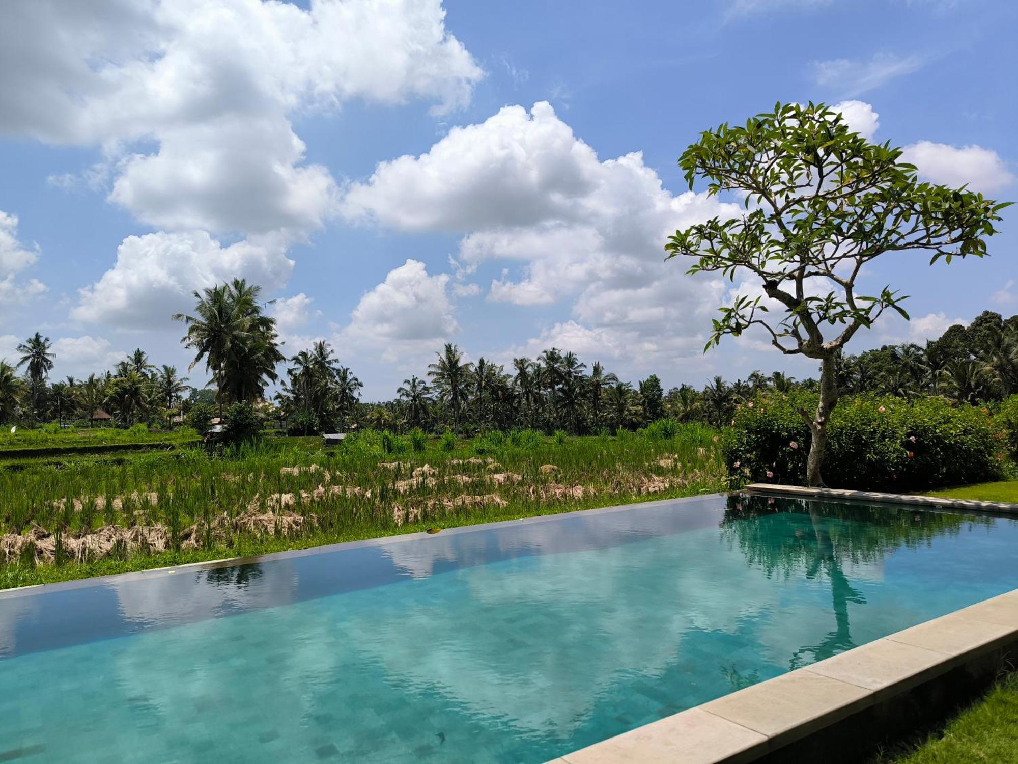 Benisari Batik Garden Cottage Ubud Værelse billede